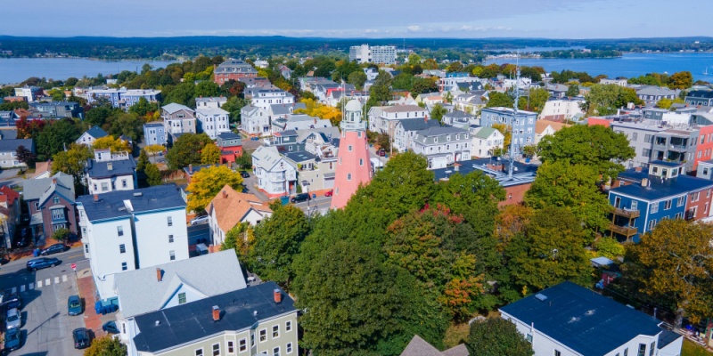 Do You Really Need Year-Round Pest Control in Maine?