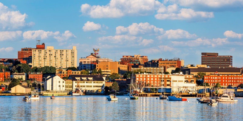 Best Pest Control Company in Portland, ME: What To Look For