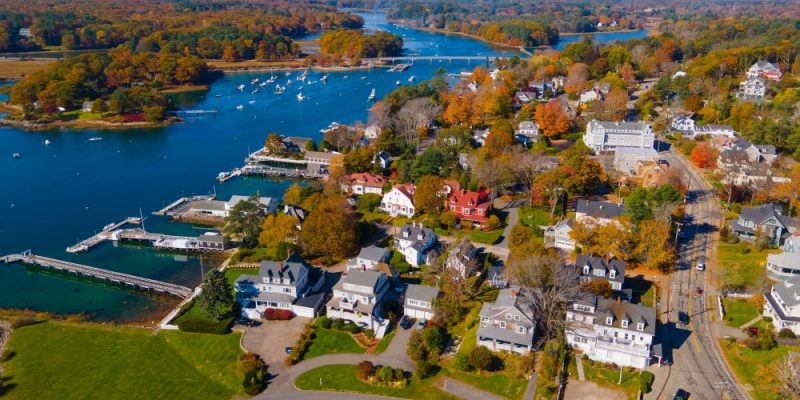 Why DIY Pest Control Often Fails in Maine’s Climate