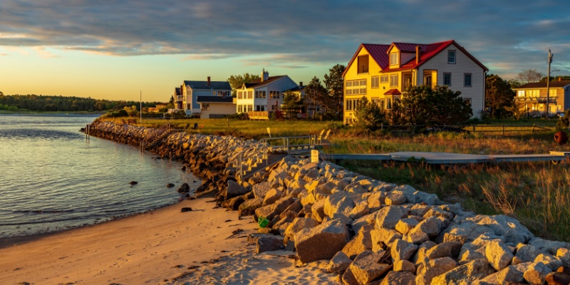 Why Coastal Maine Homes Often Experience More Pest Pressure