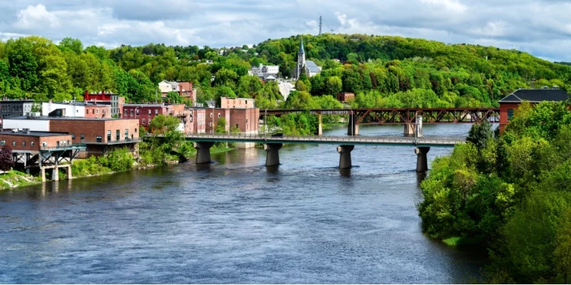 Is Quarterly Pest Control Worth It in Coastal Maine?