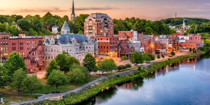 How Much Does Pest Control Cost in Maine?